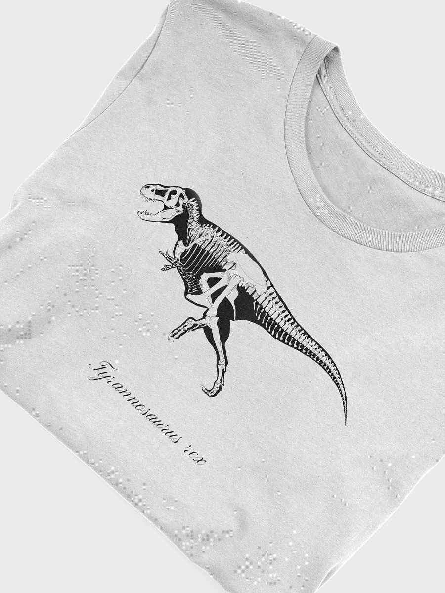 Tyrannosaurus rex Skeleton product image (25)