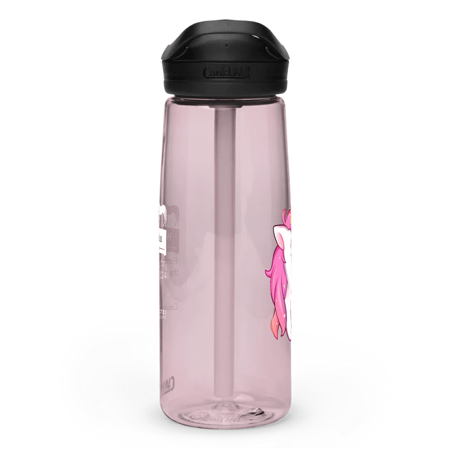 Limited Edition Water Bottle product image (3)