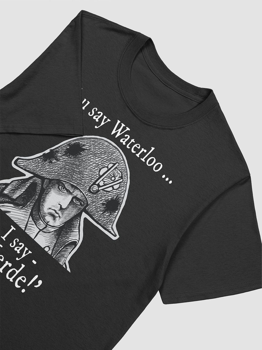 Napoleon's Waterloo: funny history T-shirt product image (25)