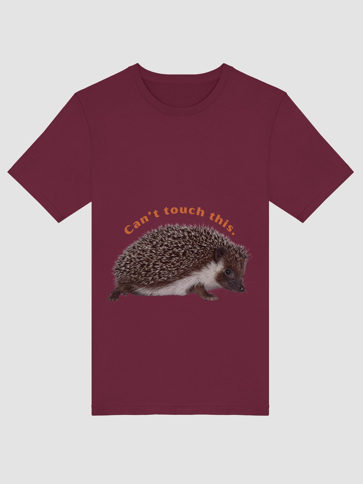 Spike, the hedgehog — simple and funny product image (3)