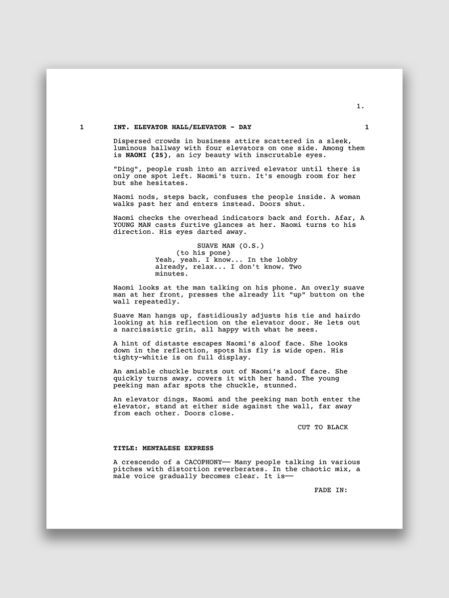 Mentalese Express Screenplay product image (2)