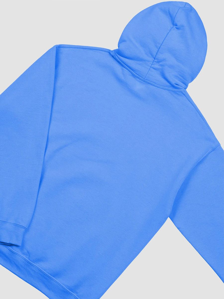 Compassion Connection Hoodie product image (40)