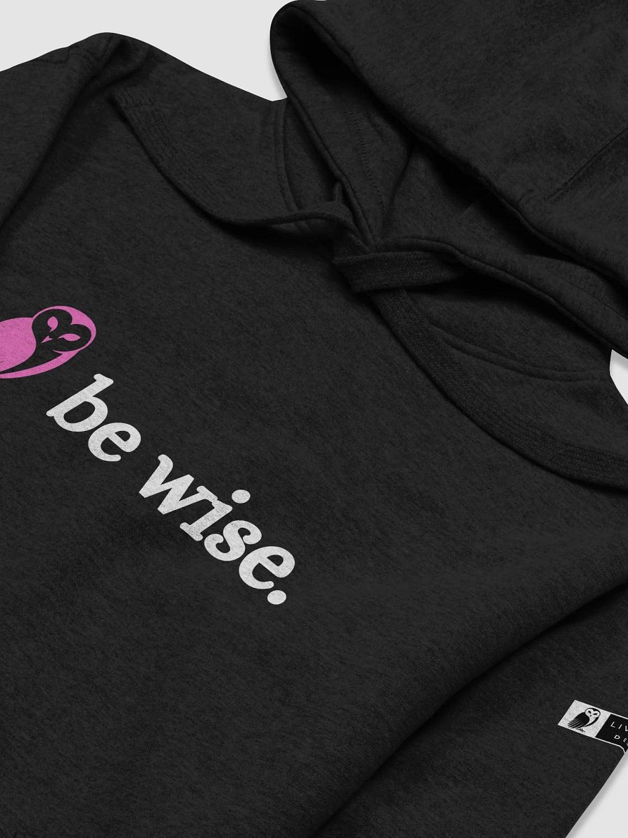 Be Wise. Owl Graphic Premium Hoodie product image (21)