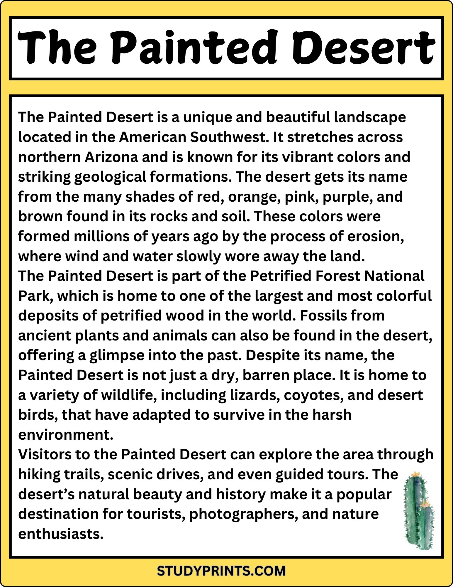 The Painted Desert Reading Comprehension Worksheet product image (2)