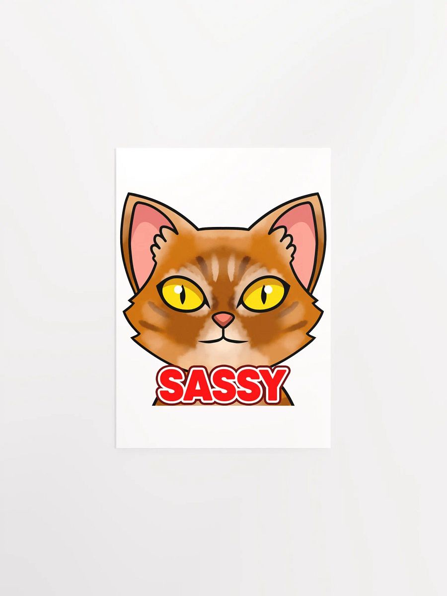 SASSY Poster product image (1)