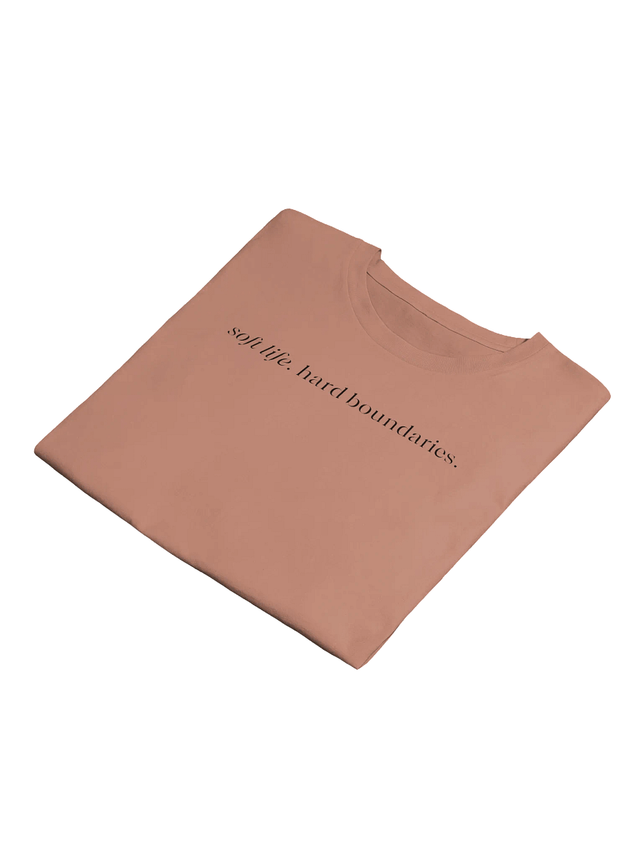 soft life. hard boundaries. screen print crop. product image (5)