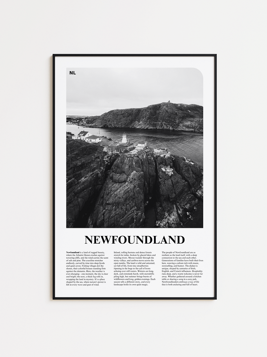Newfoundland 01 Newspaper Poster product image (1)