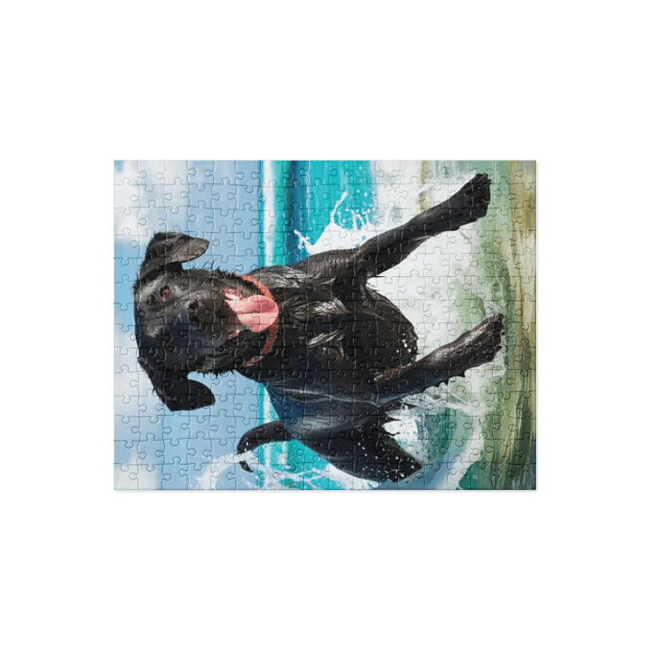 Jetty’s Adventures product image (1)