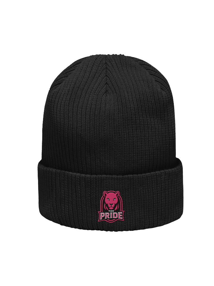 The Pride Beanie product image (55)