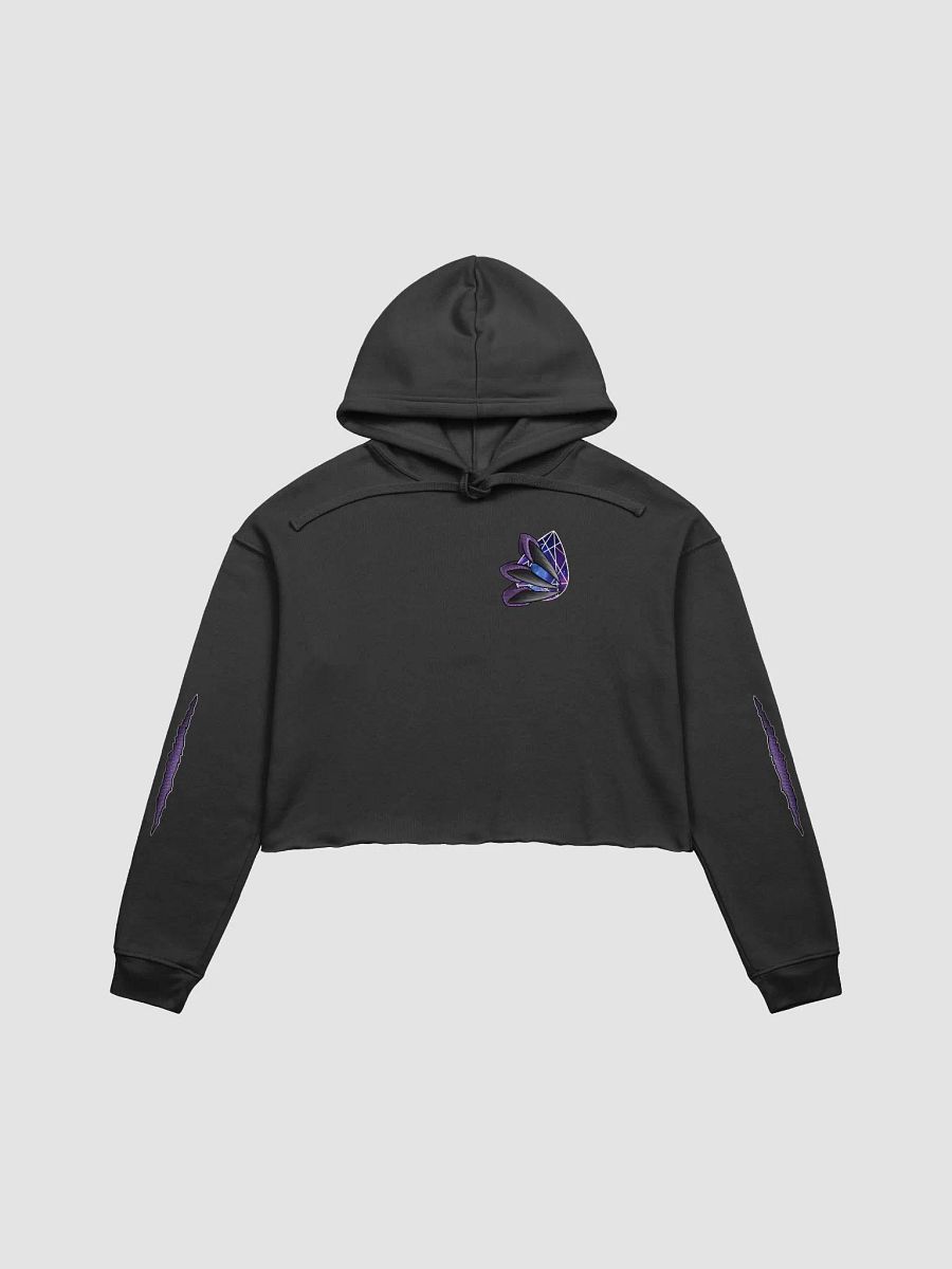 Dragon Tamer Cropped Hoodie product image (2)
