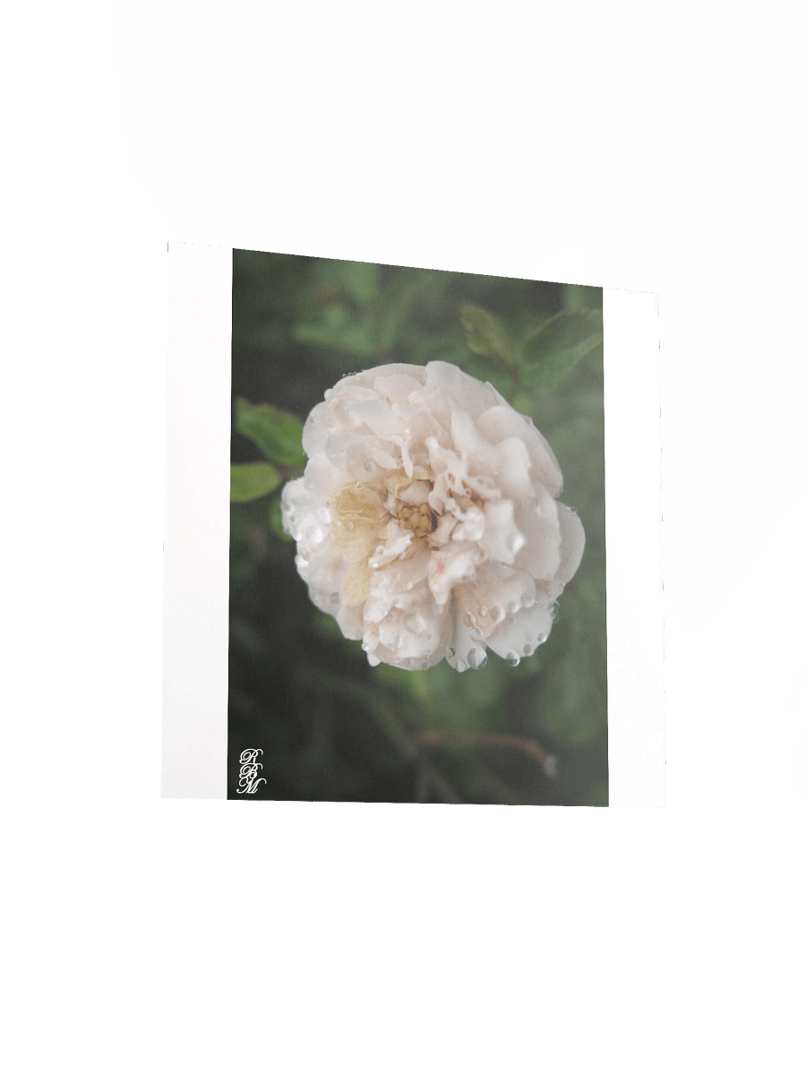 Dew on a Flower product image (11)