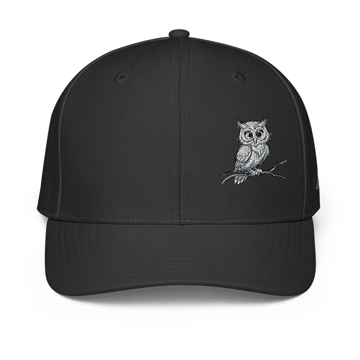 Whimsical Owl Illustration Cap product image (1)