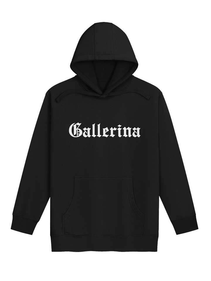 Gallerina Olde School Hoodie product image (1)