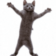 animated twitch emote product image (1)