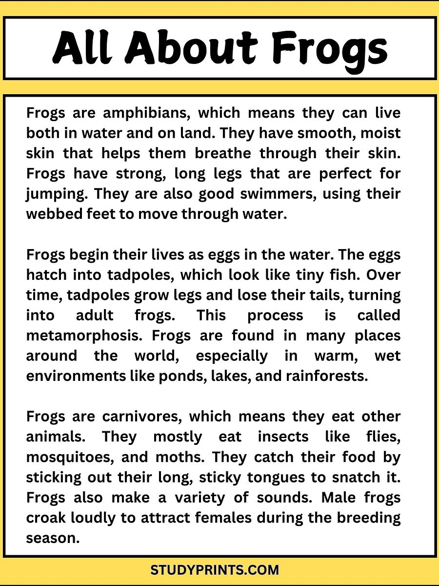 all about frogs reading comprehension worksheets product image (2)