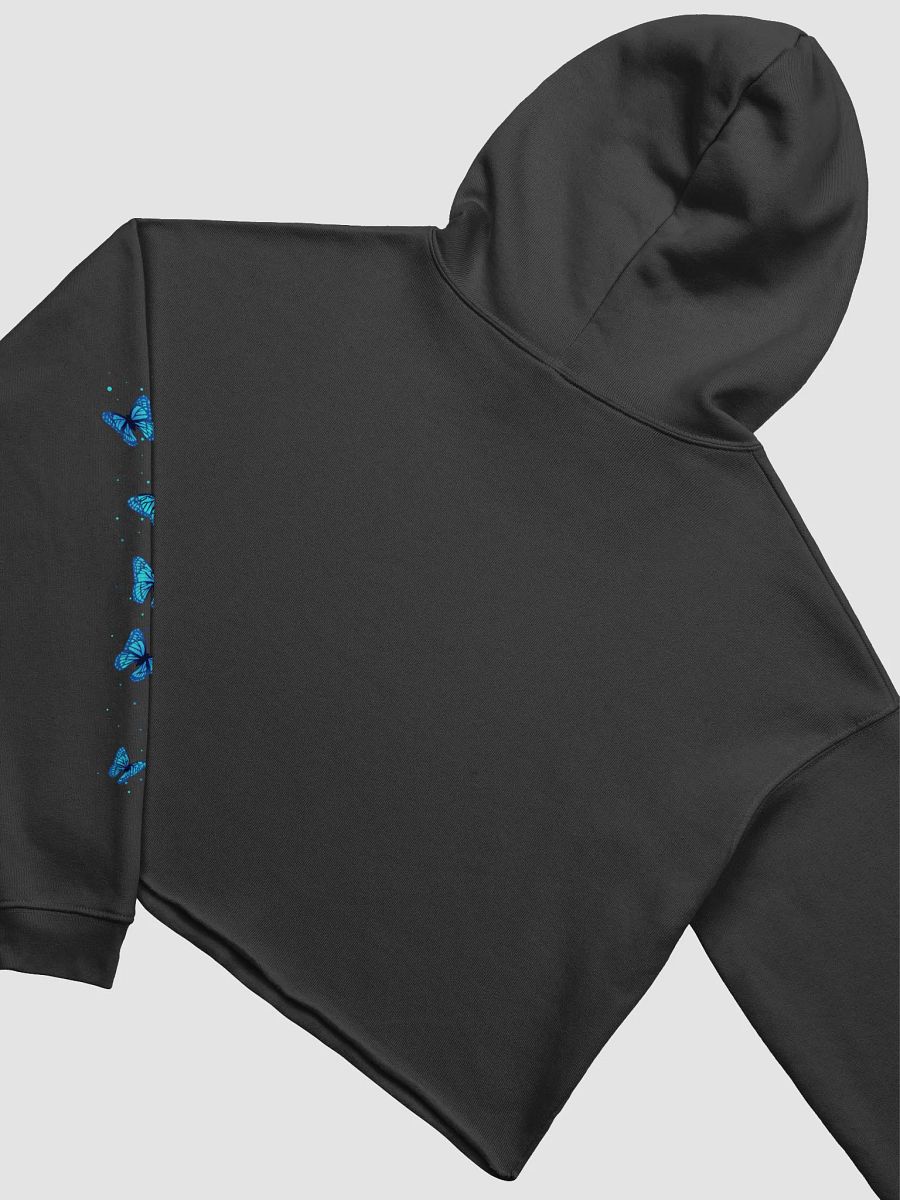 Lies of Laurxn Cropped Hoodie product image (4)