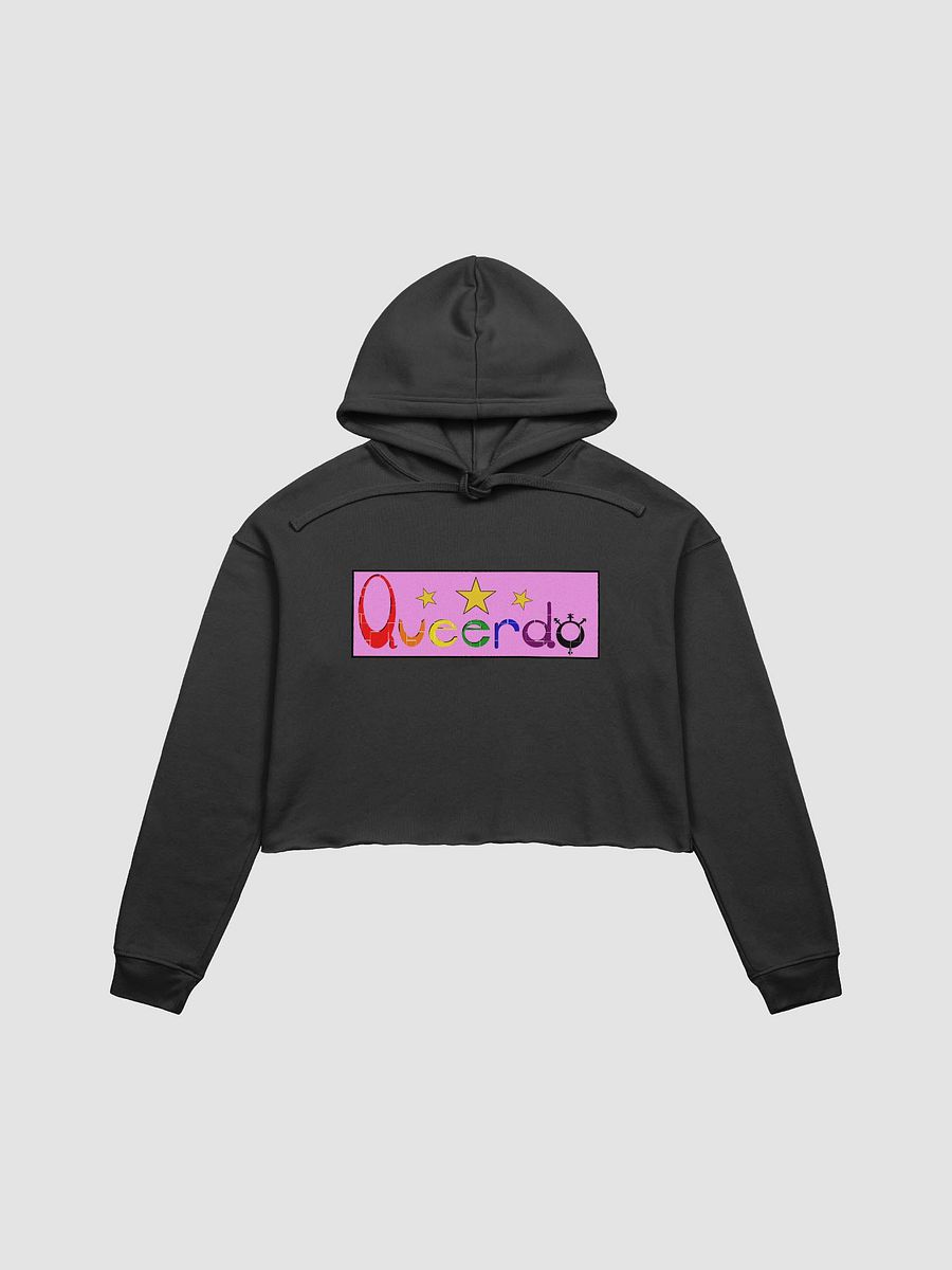 Queerdo Crop Hoodie product image (6)