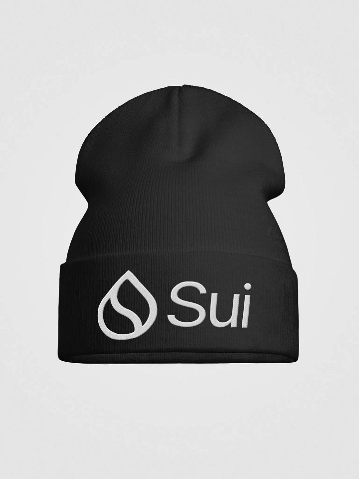 Beanie cap product image (1)