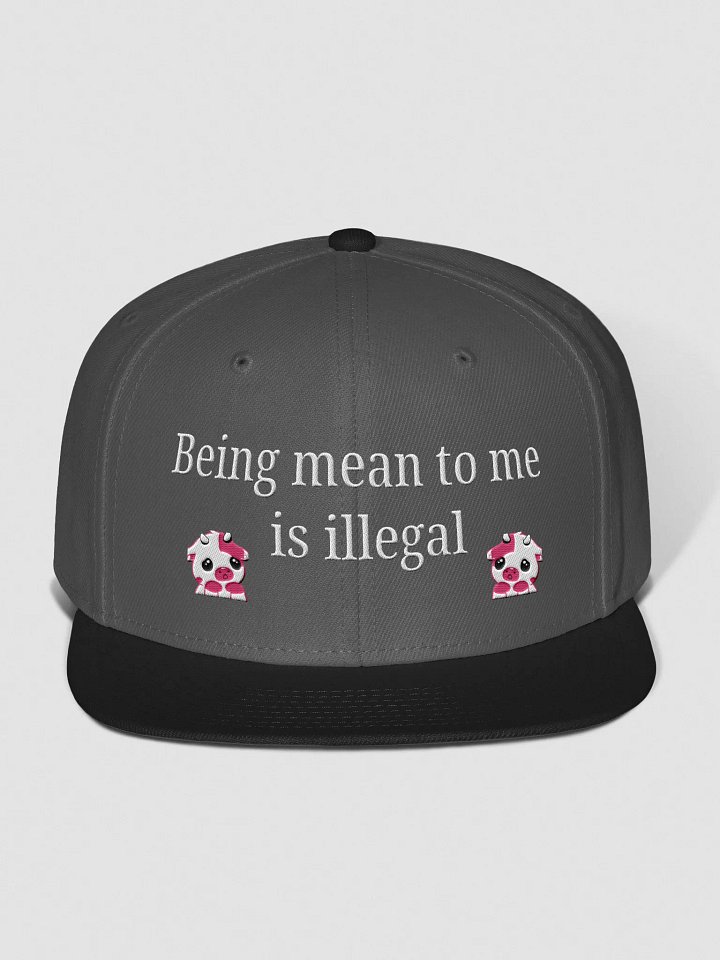 That's illegal snapback product image (1)