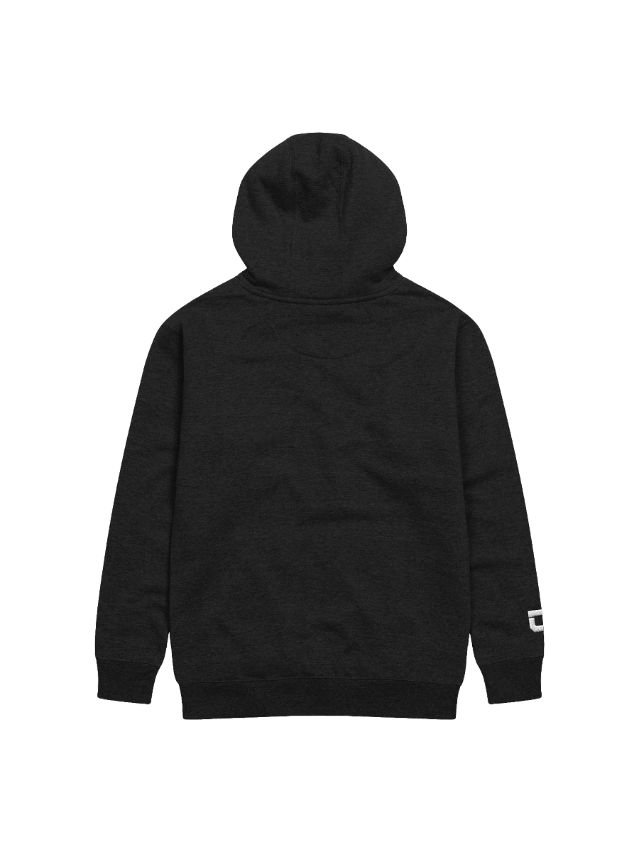 Grid Hoodie - Black product image (3)