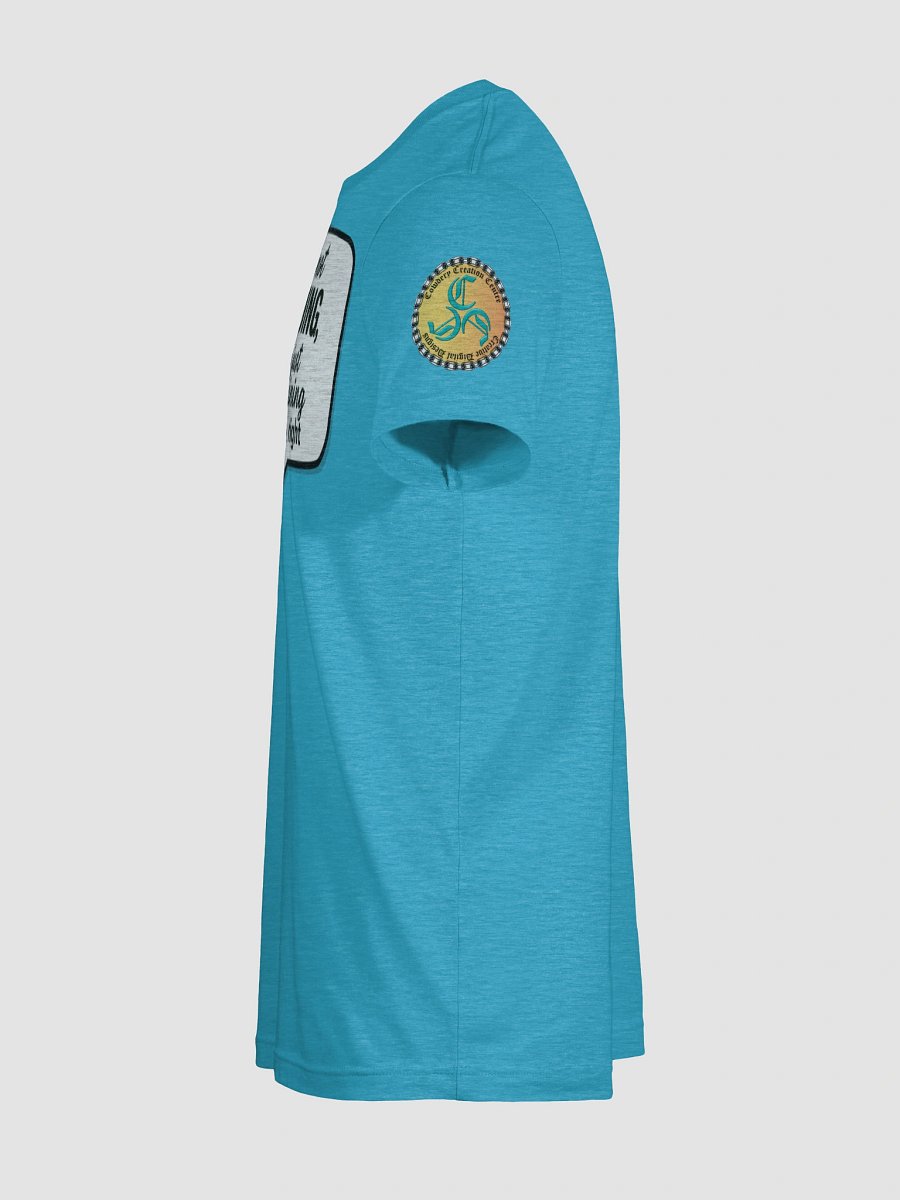 I'm not Arguing (Male) Bella+Canvas Supersoft T-Shirt Colors (5) product image (35)