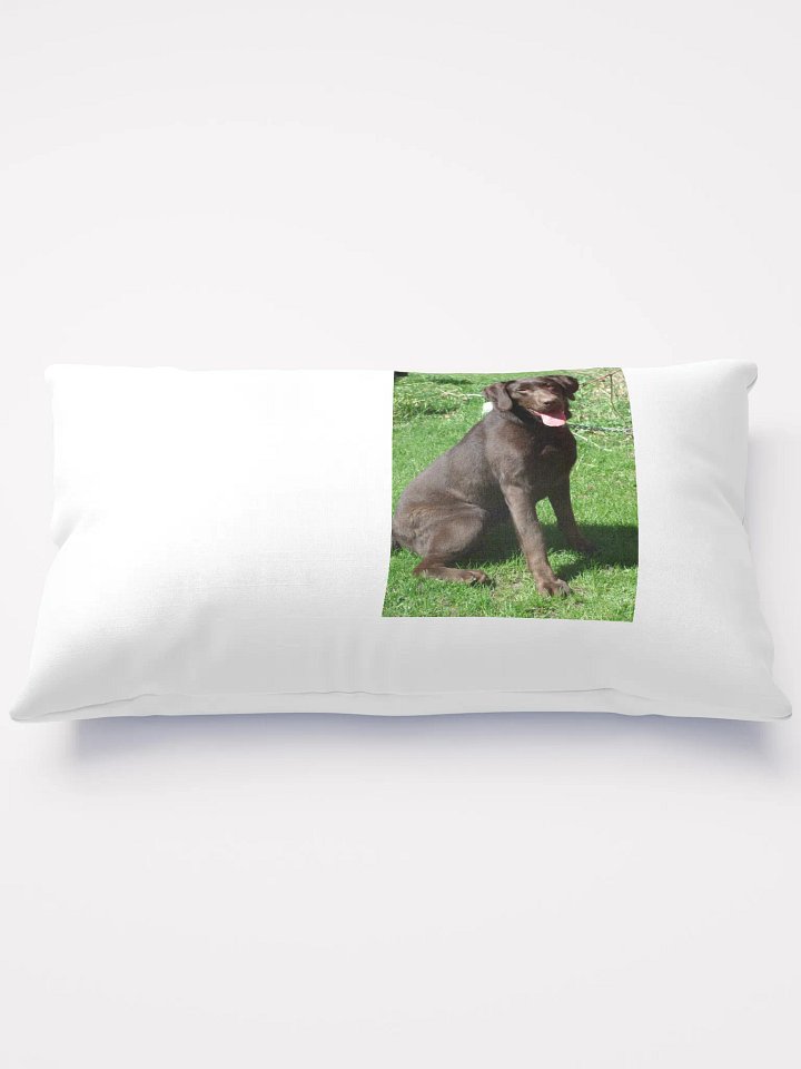 farm dog product image (2)