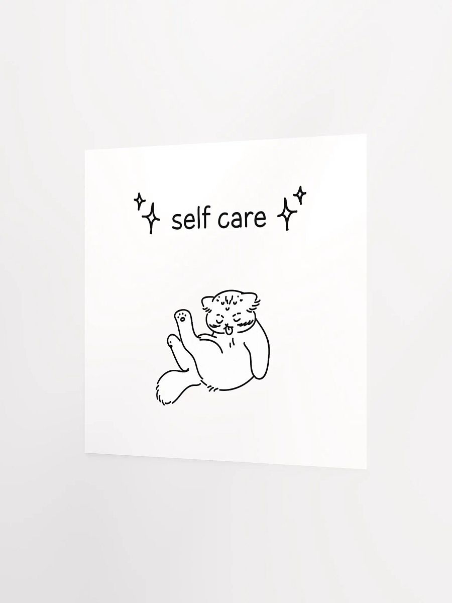Self Care Manul - Matte Poster product image (2)