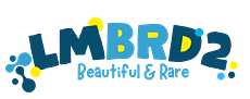 LMBRD2 STORE