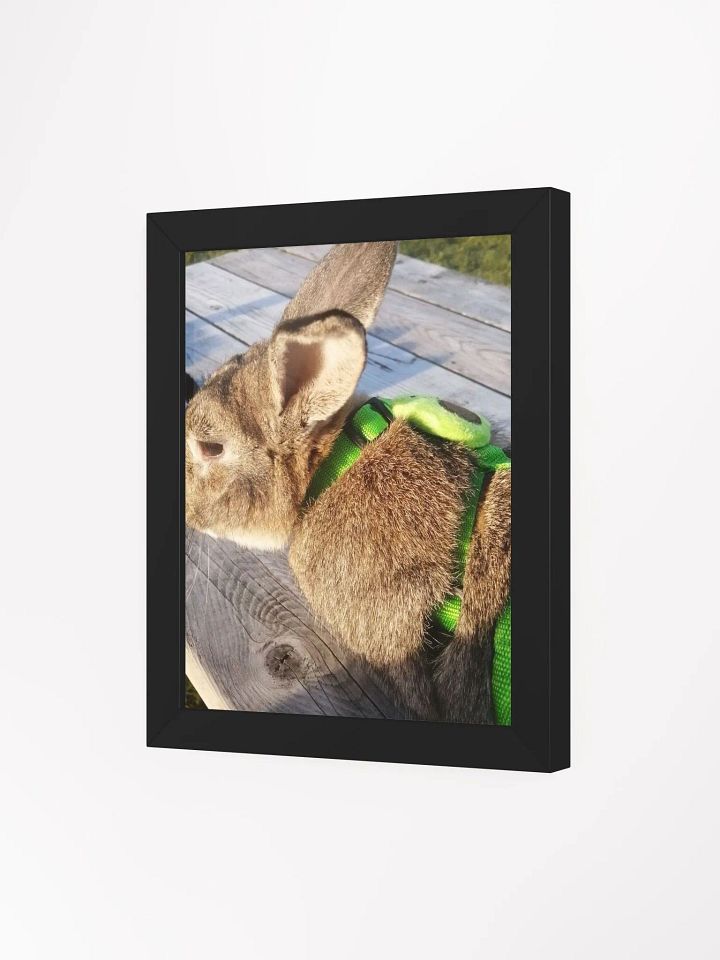Poster Of My Bunny product image (73)