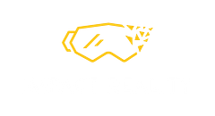 Impact Reality