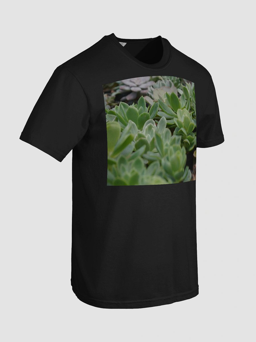 Succulent Serenity Cotton Tee product image (7)
