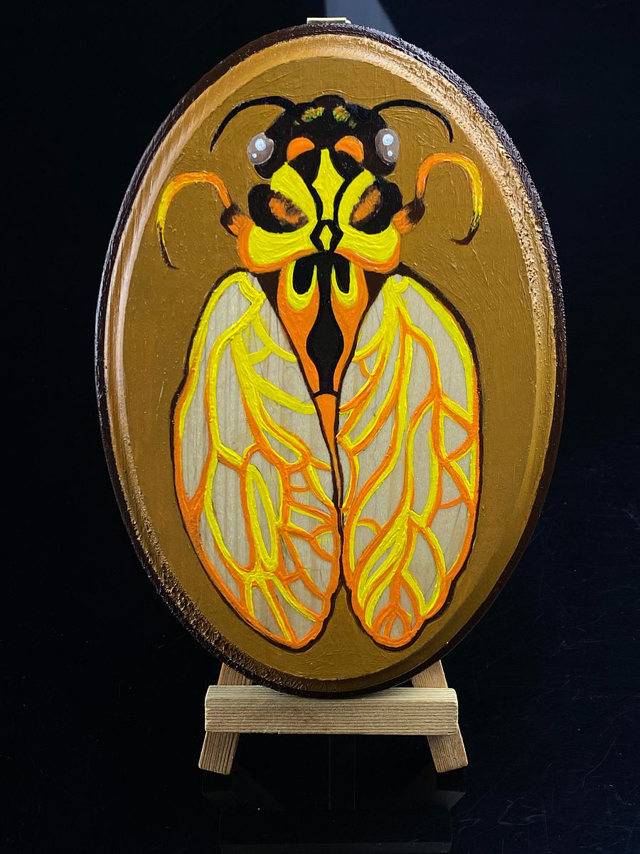 Wasp-Cada product image (1)