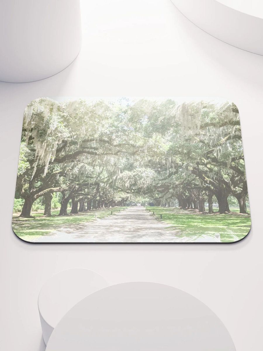 Avenue of the Oaks, Boone Hall Mousepad product image (1)