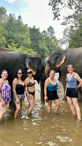 One spot left on our November 2026 trip 🐘⛰️🏝️
shegoes.travel or DM us for more info!