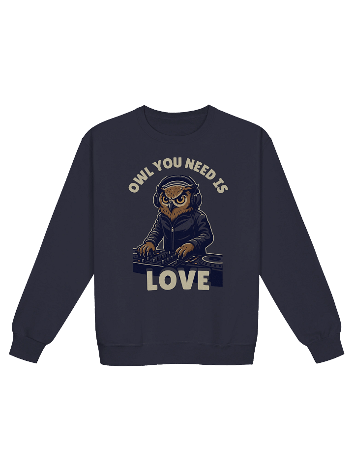 "Owl You Need Is Love" Sweatshirt | Funny DJ Music Pun & Animal Lover Gift product image (2)