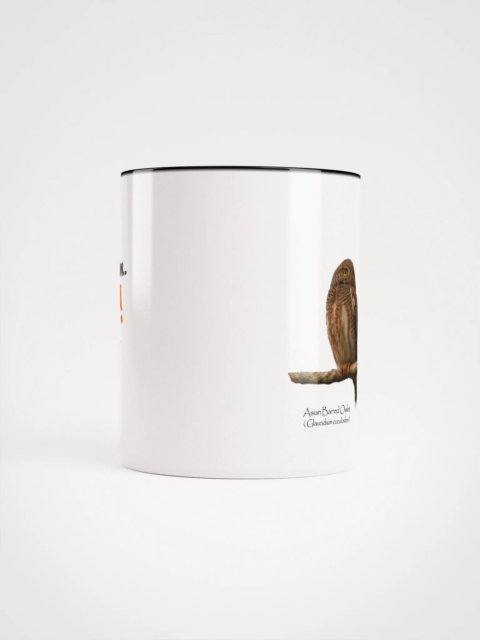 Asian Barred Owlet mug product image (44)