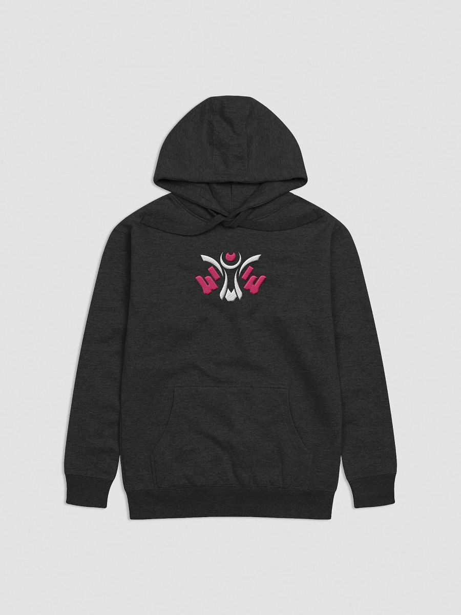Visionary x Errah Embroidered Hoodie product image (1)