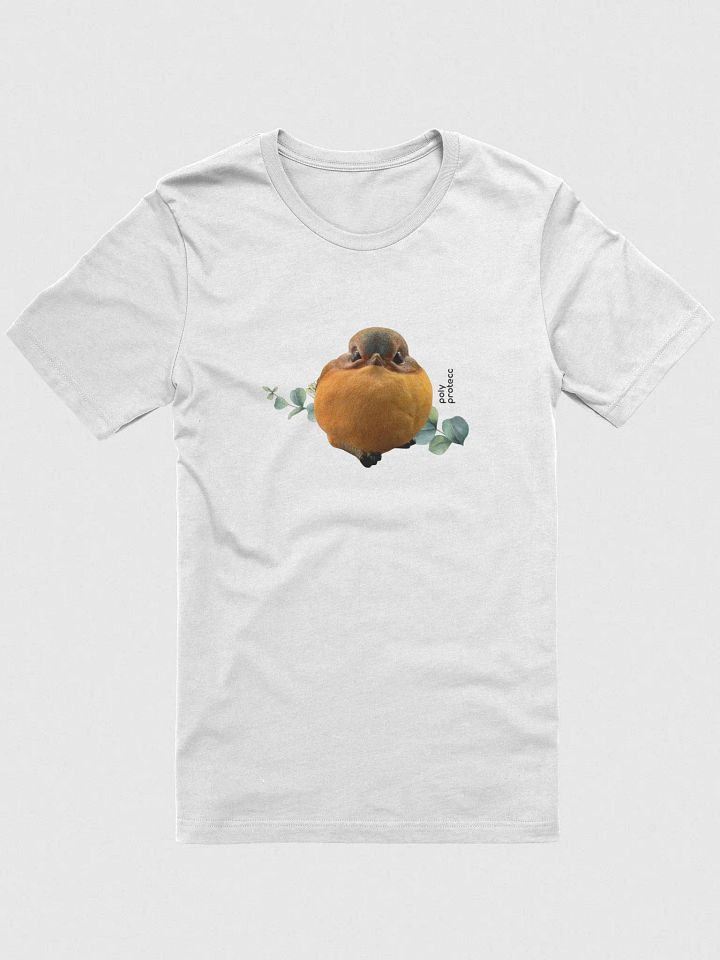 PolyProtecc T-Shirt (light) product image (1)
