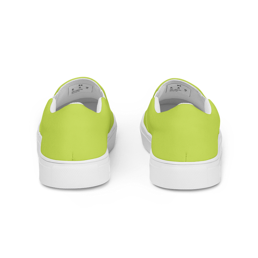 Flight of the Hummingbird Women's Slip-Ons product image (4)