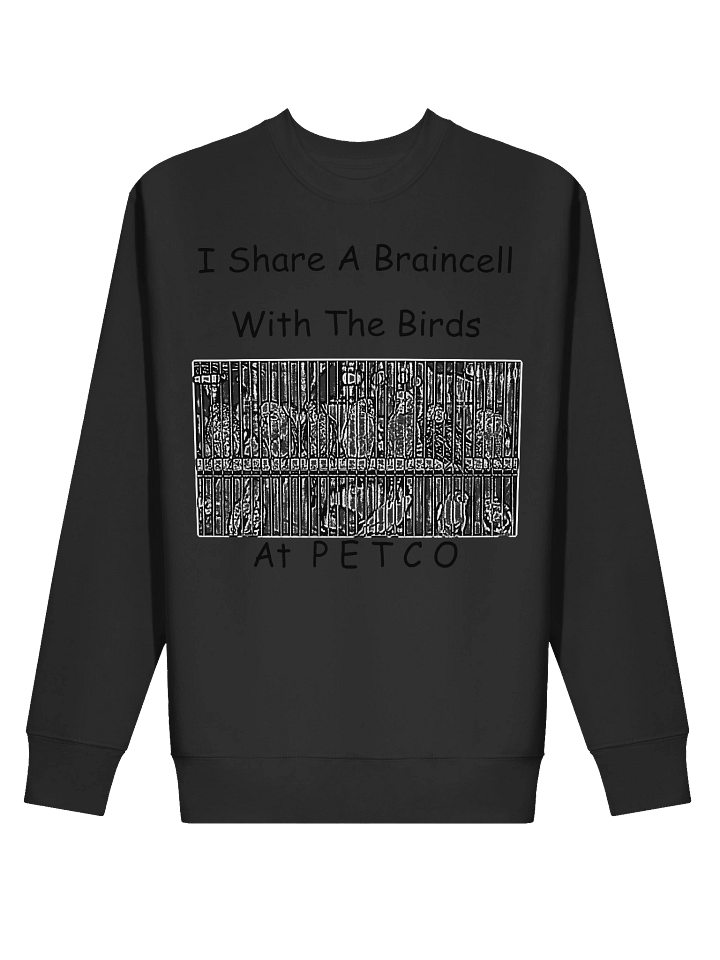 Bird Brains product image (8)