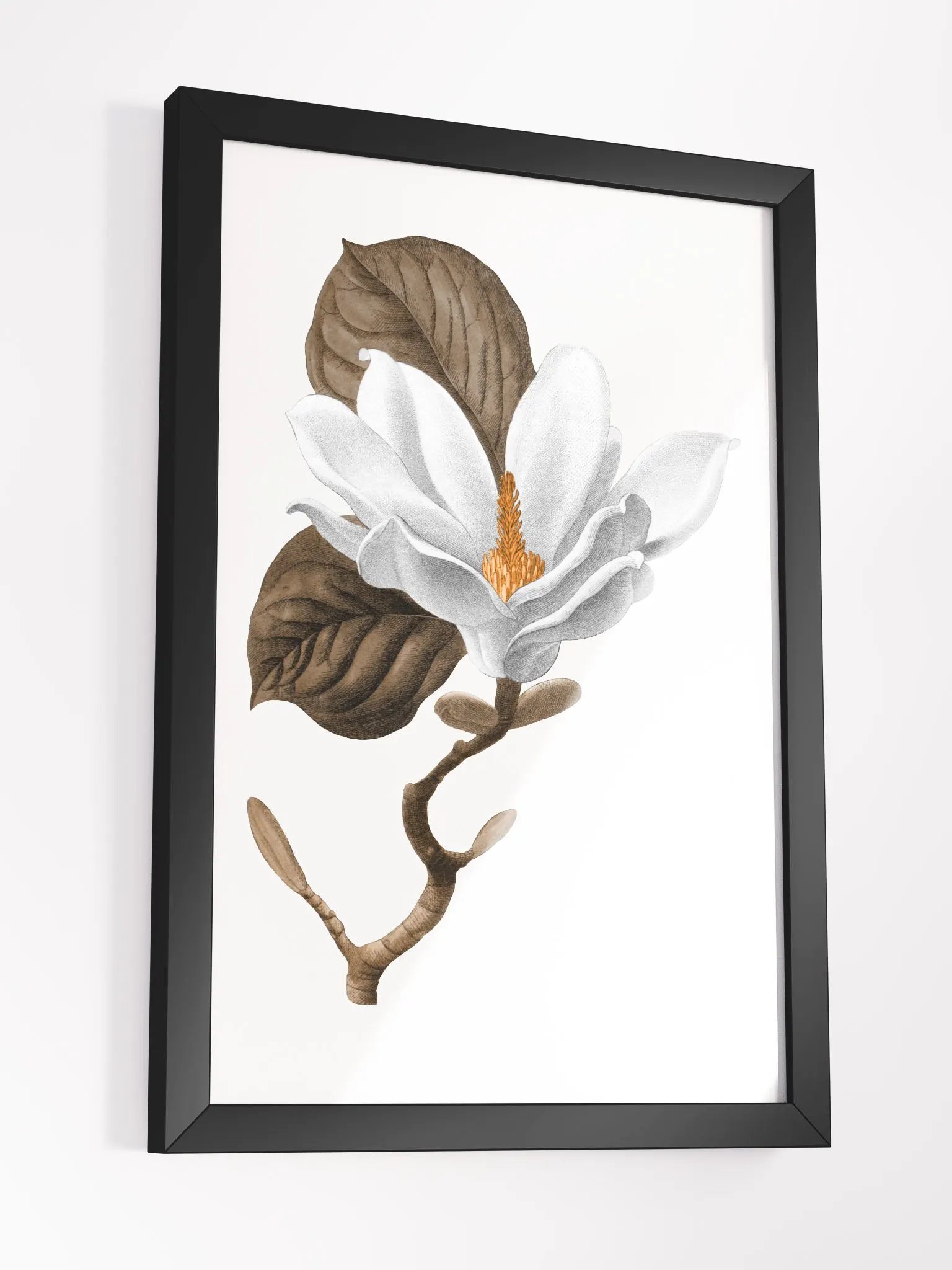 Magnolia Grandiflora #2 Framed Print product image (3)
