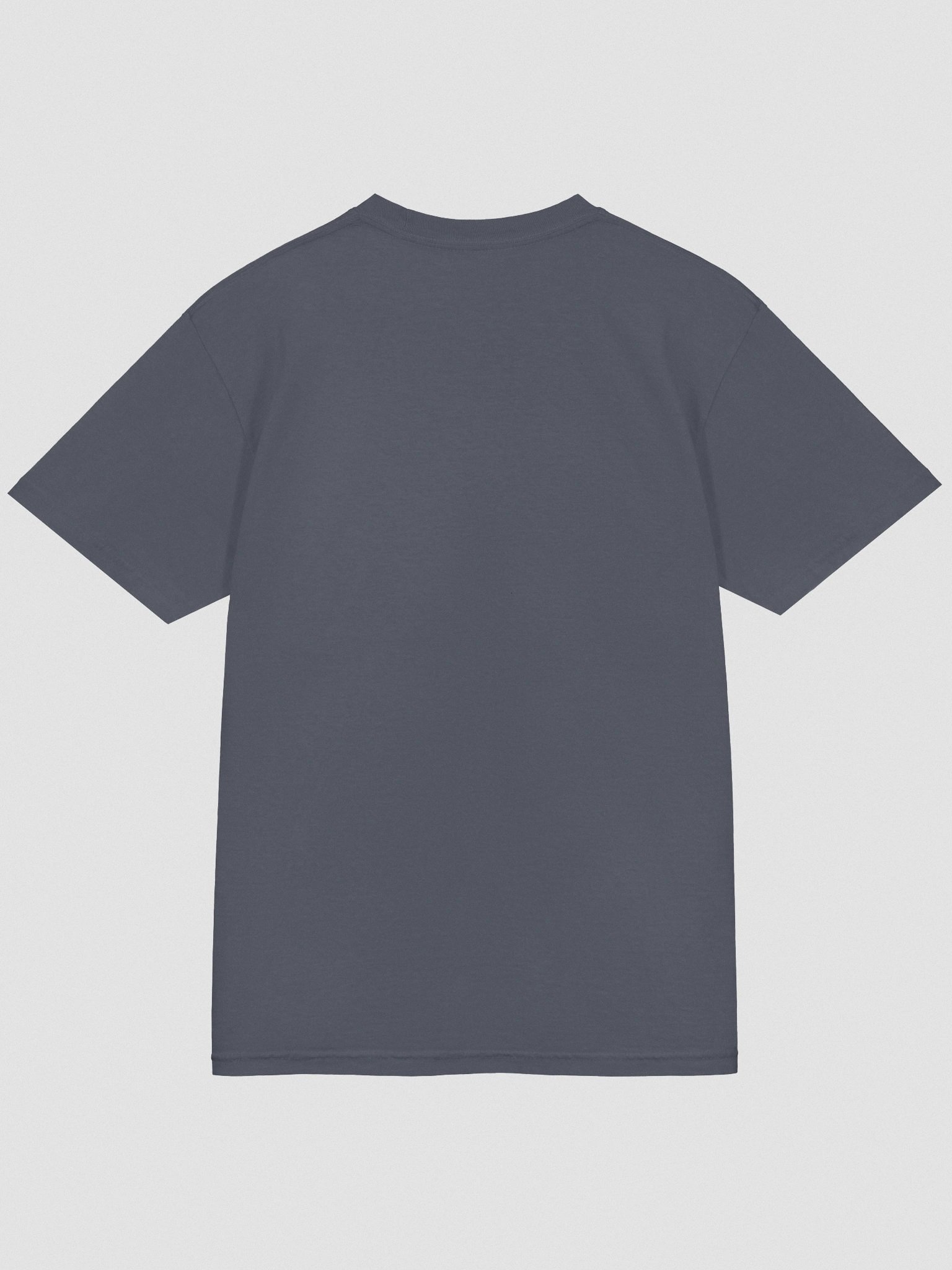 🌌 CW Classic Embroidered Heavyweight Tee product image (6)
