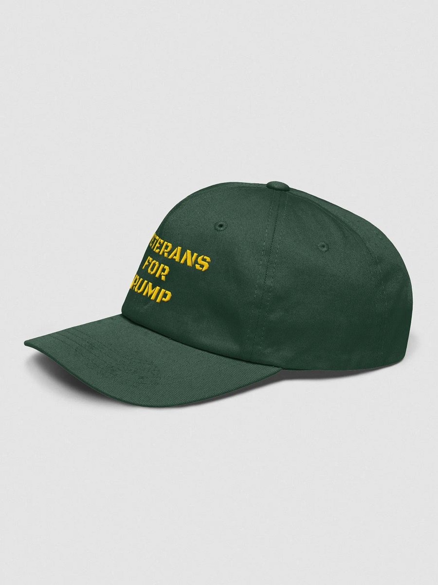Veterans For Trump cap product image (6)