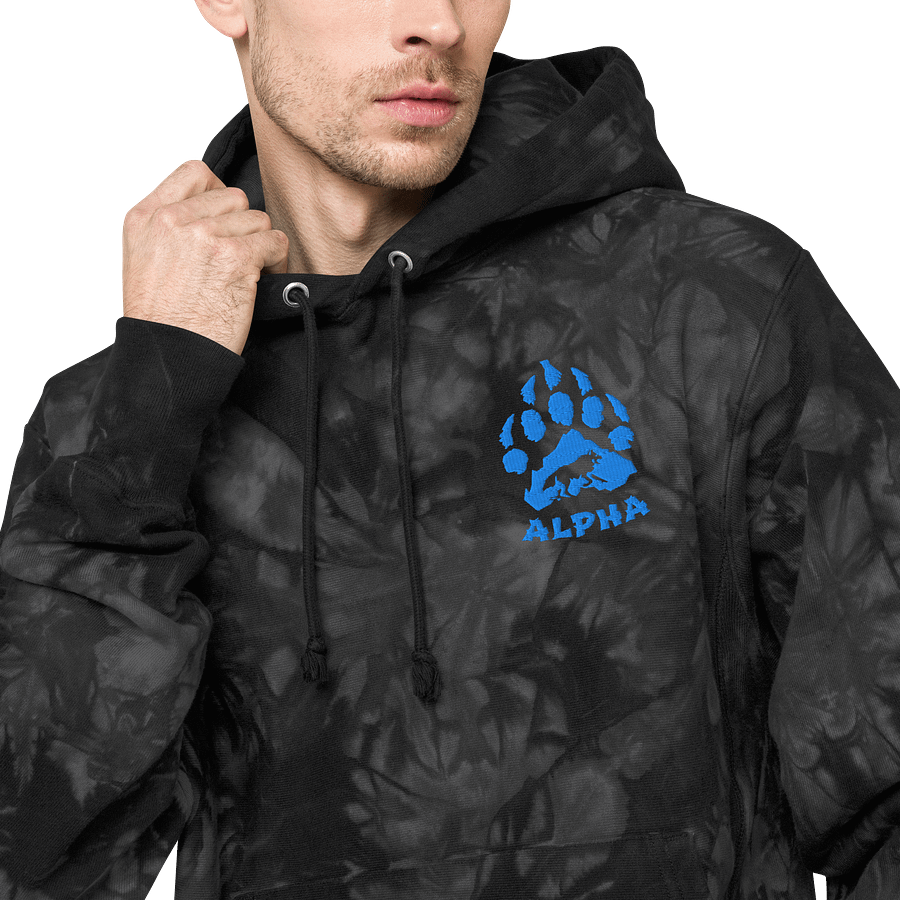 Alpha hoodie product image (3)
