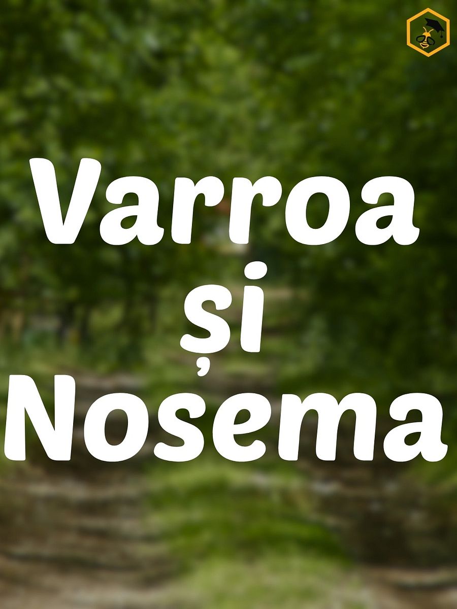 Varroa și Nosema product image (1)