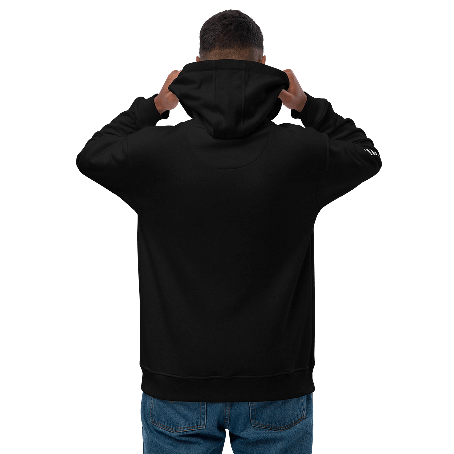 WilkyFAM/ StreamLINK "Linked Up" Hoodie product image (8)