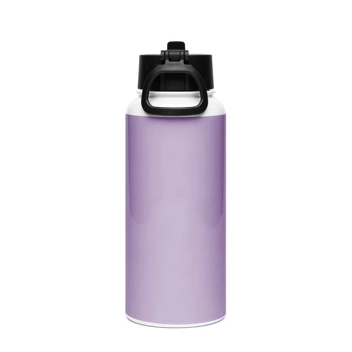 Rarity Stainless Steel Water Bottle with a Straw Lid product image (2)