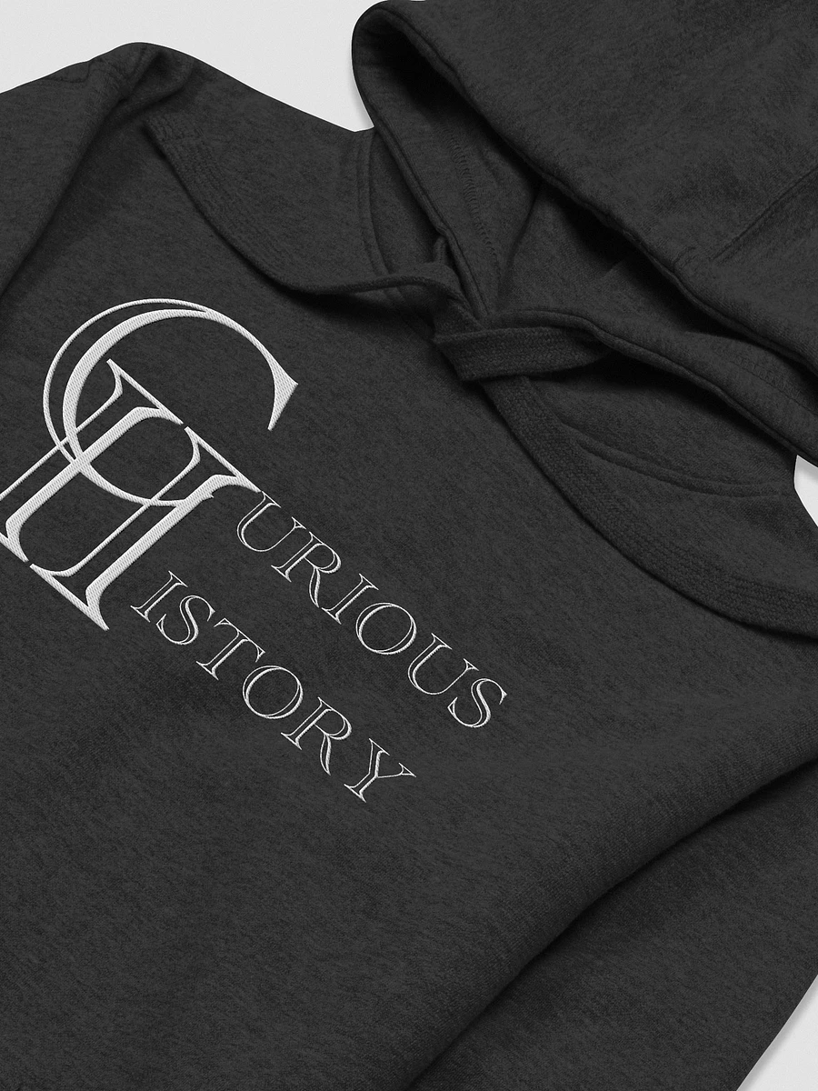 Curious History Hoodie product image (3)