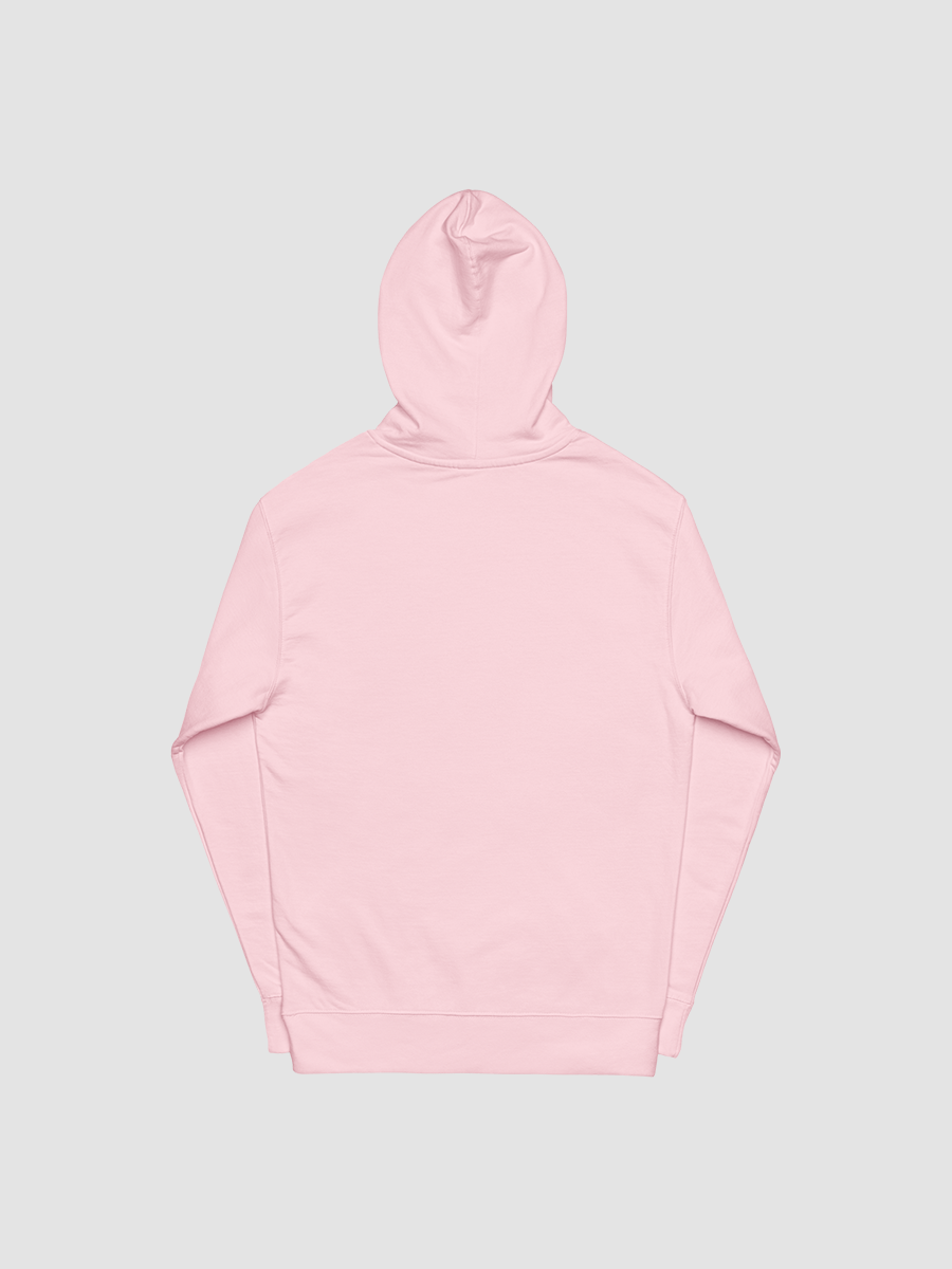praise the orb embroidered hoodie product image (3)