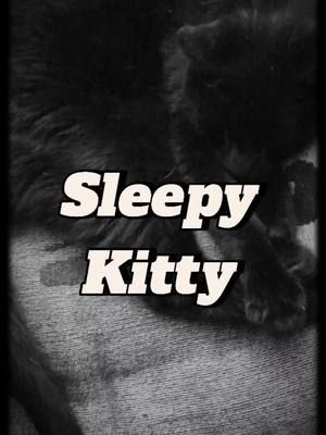 When he wakes up for just a moment... isn't he precious? 💕  #cats #sleepykitty #tiktoktrends #blackcats #teamwork #creatorcommunity #support #roadto10k 